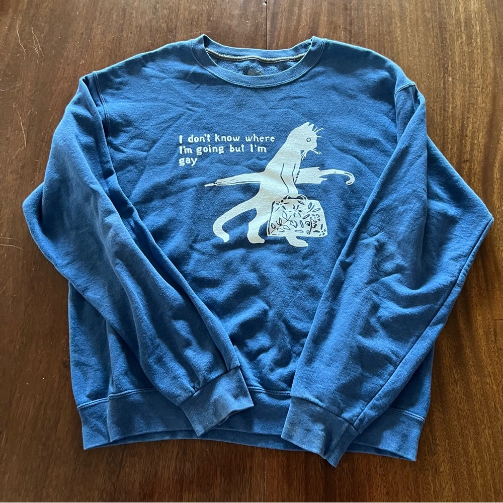 Fruit of the Loom Blue Sweatshirt, 🏳️‍🌈 humor